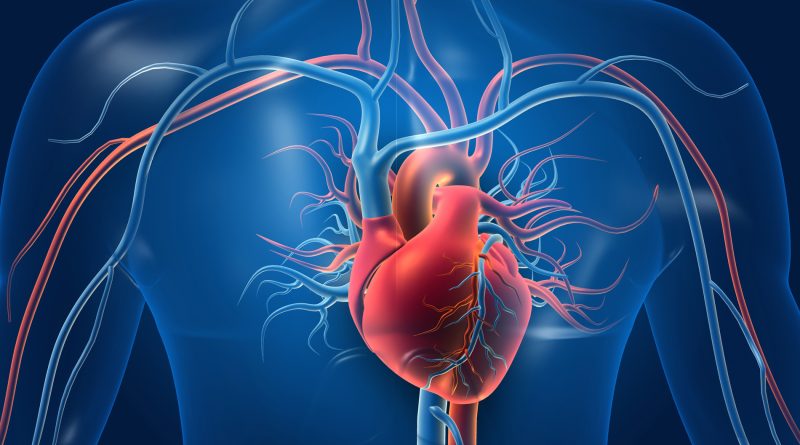 Coronary CT Angiography